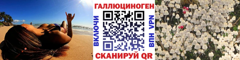 дарнет шоп  Свирск  Галлюциногенные грибы ЛСД 